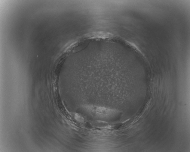 X0000080181399200612151936