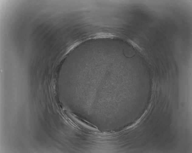 X0000080181401200612151936