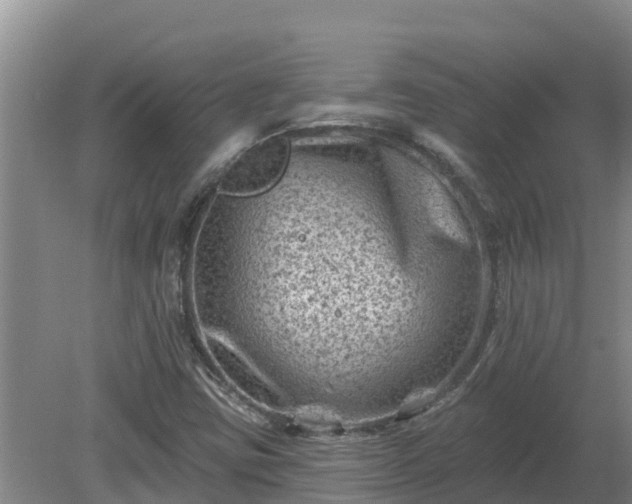 X0000080181403200612151936