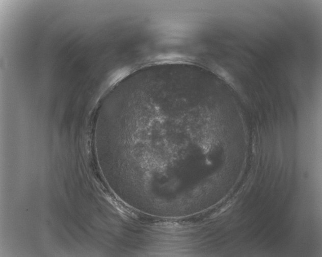 X0000080181405200612151936