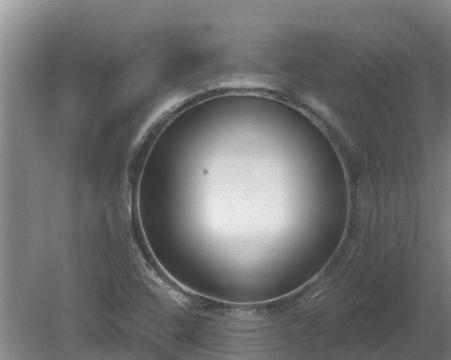 X0000080181408200612151936