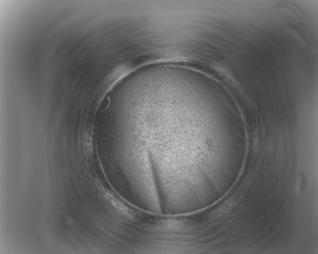 X0000080181409200612151936