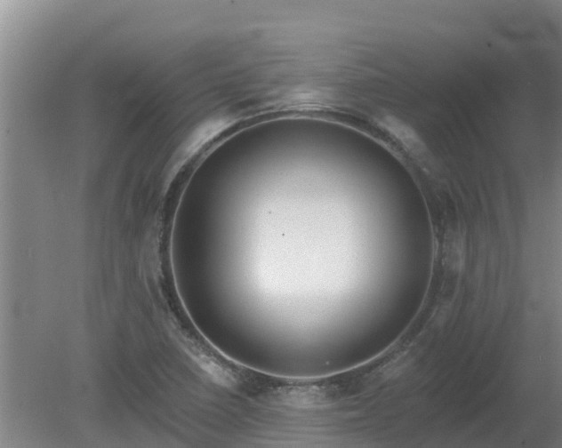 X0000080181410200612151936