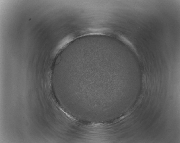 X0000080181411200612151936