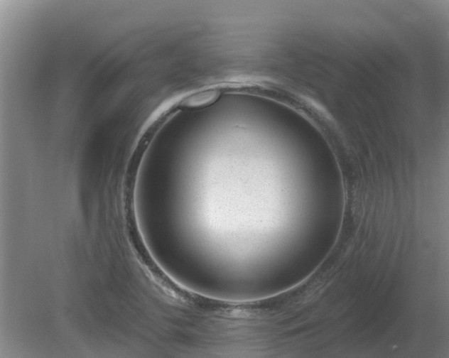 X0000080181412200612151936