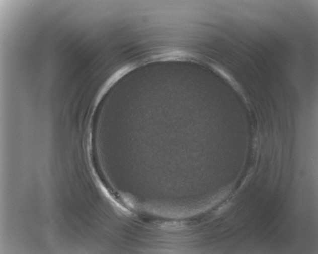 X0000080181418200612151937