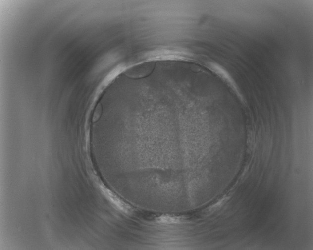 X0000080181419200612151937