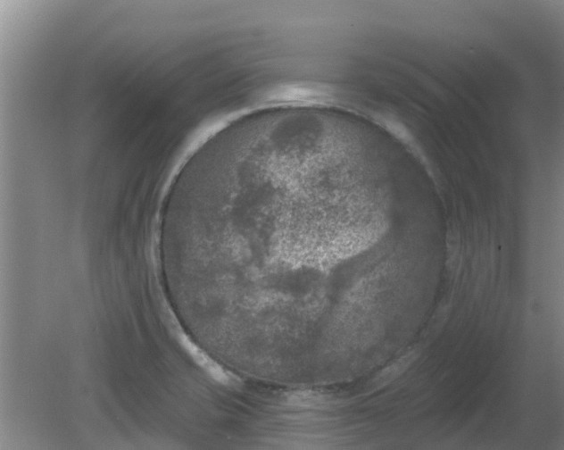 X0000080181421200612151937