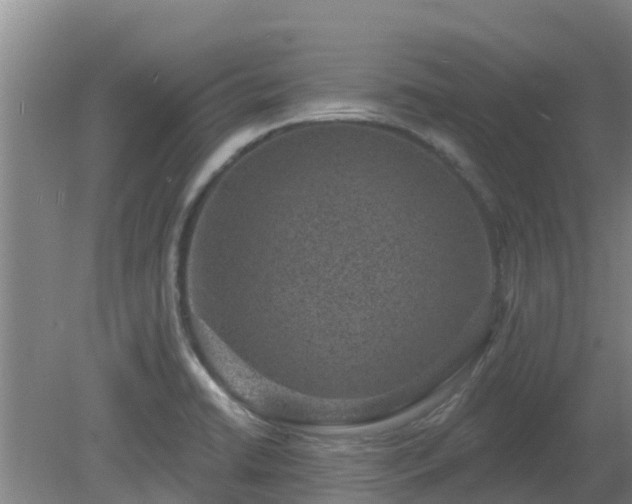 X0000080181422200612151937