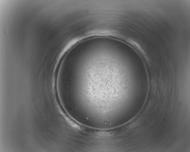 X0000080181424200612151937