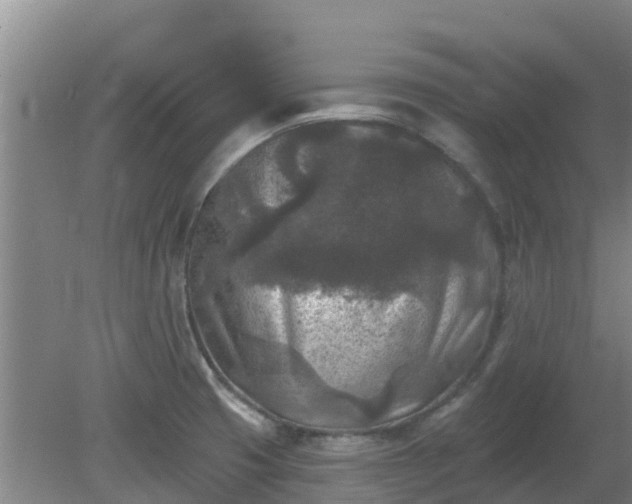 X0000080181425200612151937