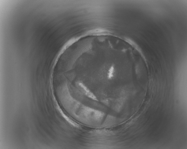 X0000080181429200612151937