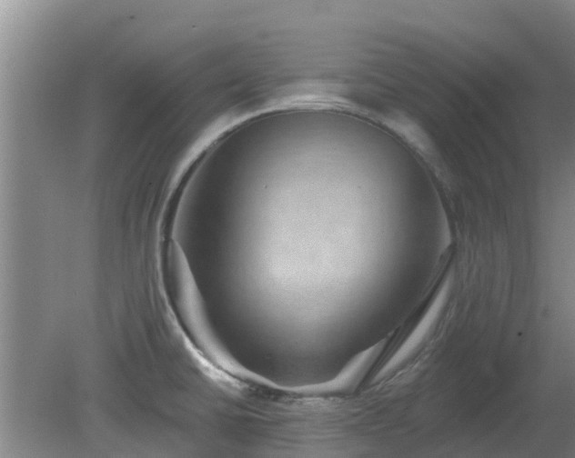 X0000080181430200612151937