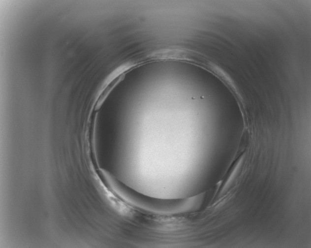 X0000080181434200612151937