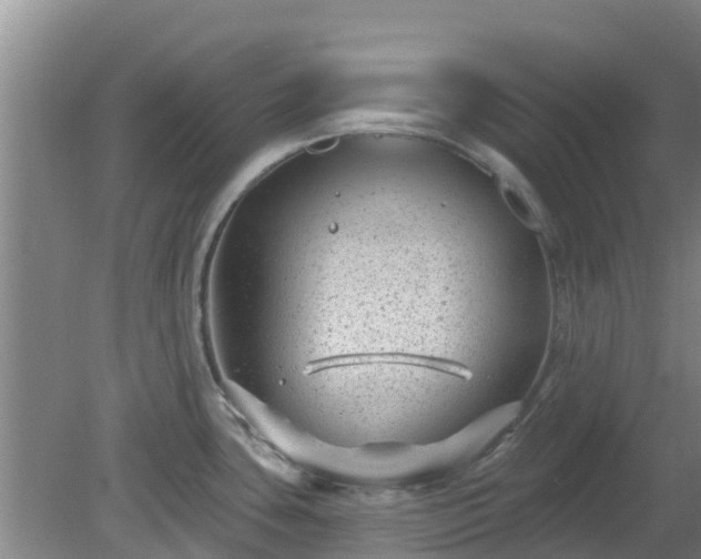 X0000080181435200612151937