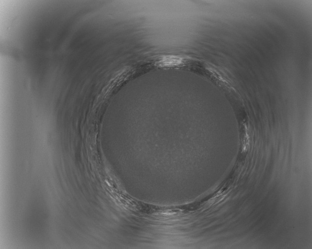 X0000080181441200612151936