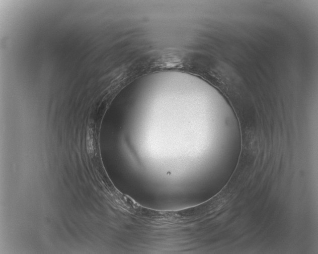 X0000080181442200612151936