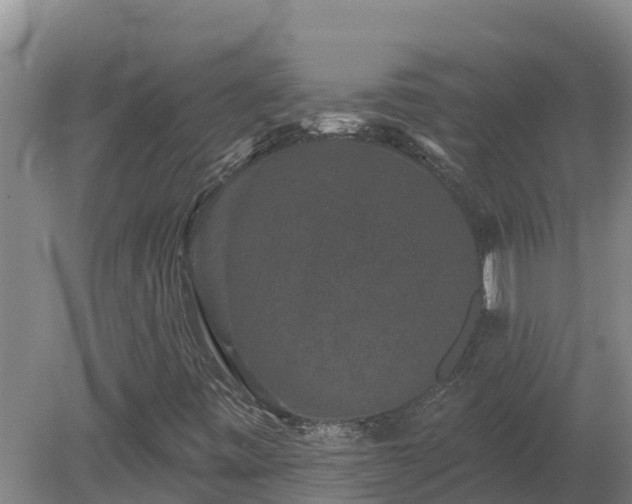 X0000080181443200612151936