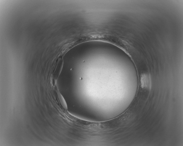 X0000080181444200612151936