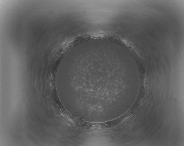 X0000080181445200612151936