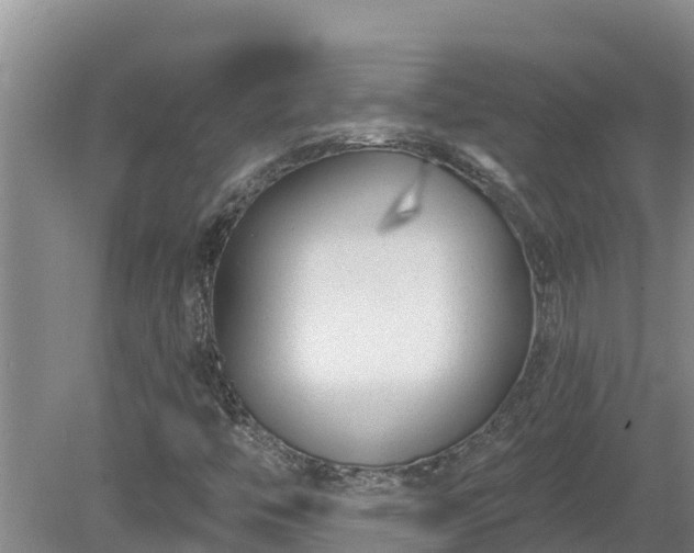 X0000080181446200612151936