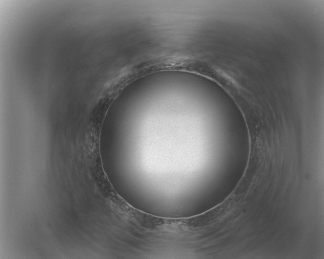 X0000080181447200612151936