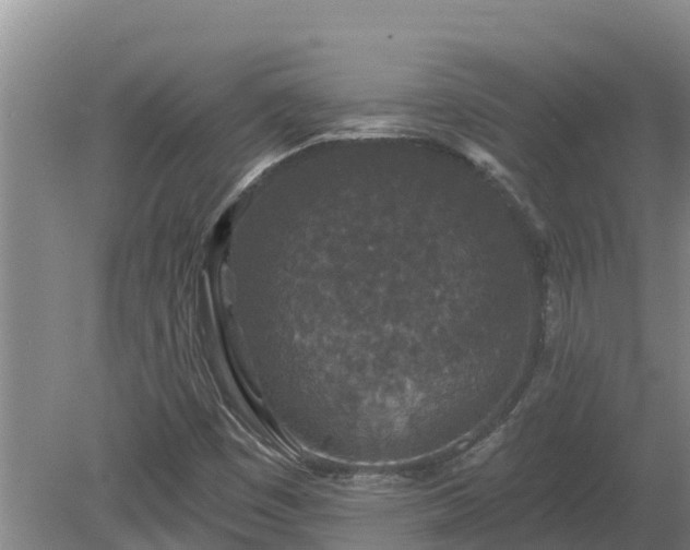 X0000080181449200612151936