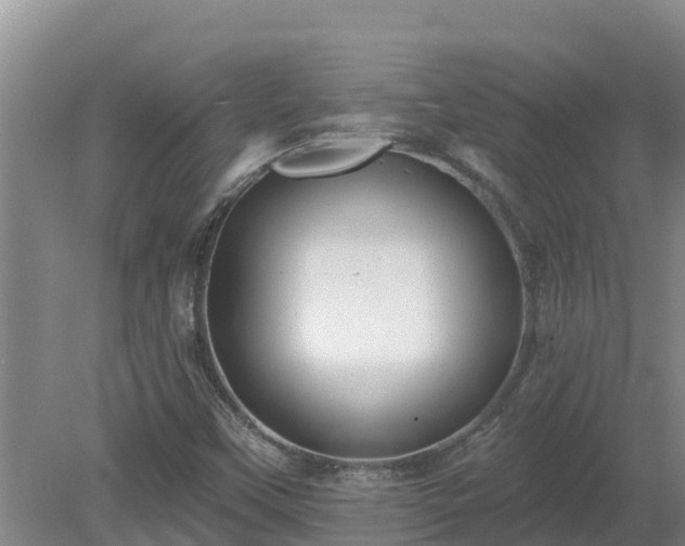 X0000080181451200612151936