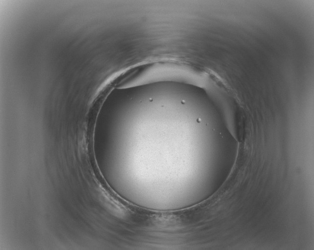 X0000080181452200612151936