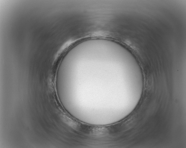 X0000080181454200612151936