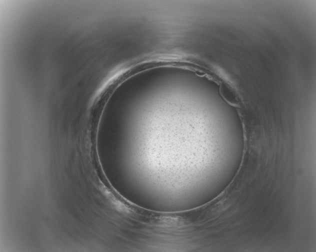 X0000080181456200612151936