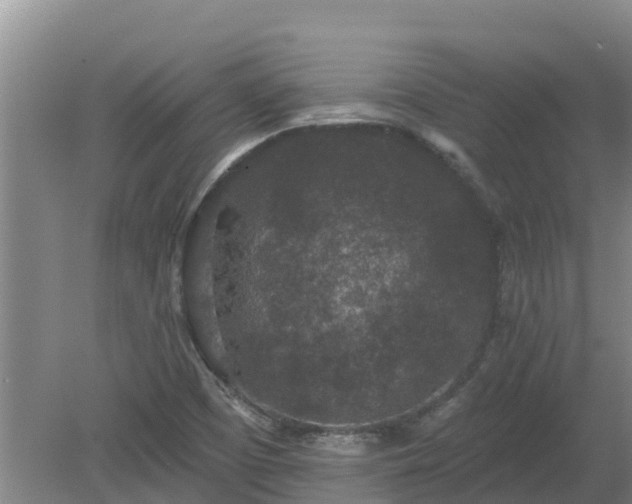 X0000080181457200612151936