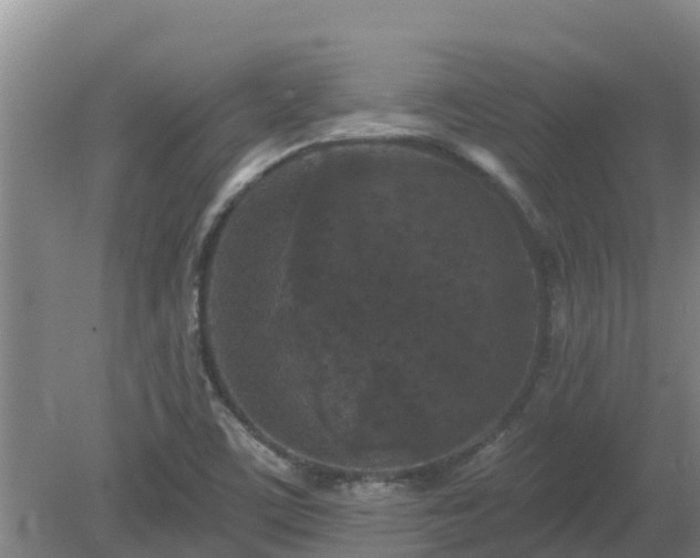 X0000080181459200612151936