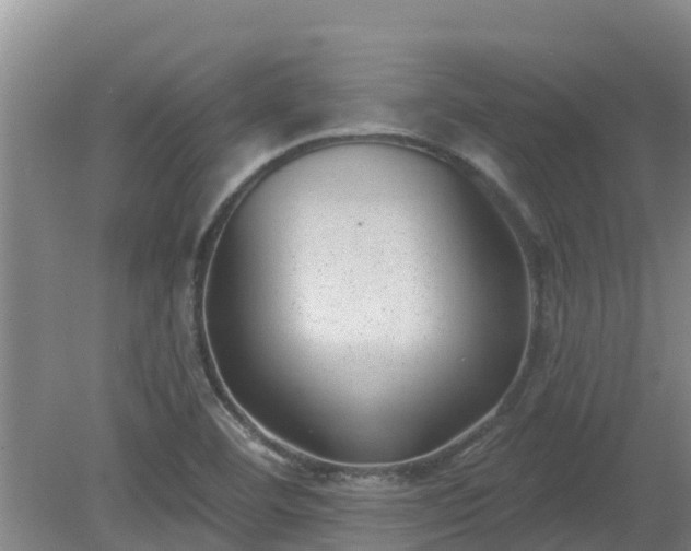 X0000080181460200612151936