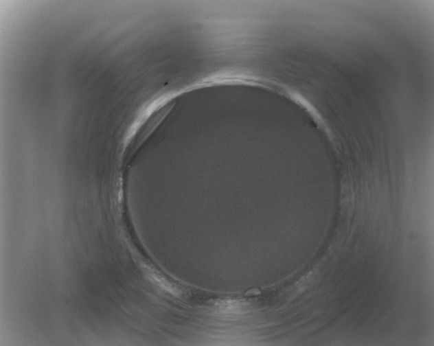 X0000080181461200612151936