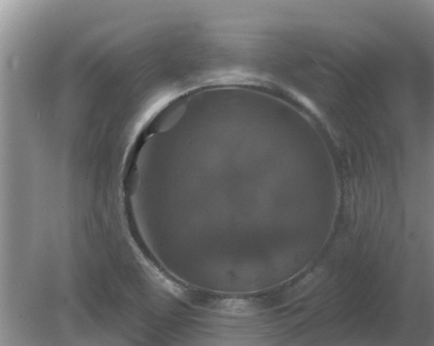 X0000080181463200612151936