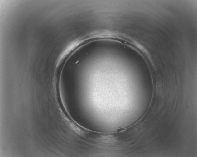 X0000080181464200612151936