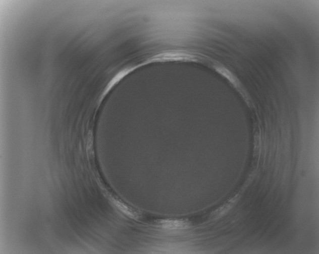 X0000080181465200612151936