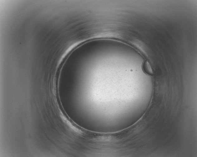 X0000080181468200612151936