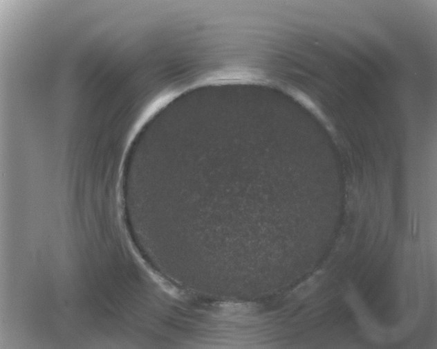 X0000080181469200612151936