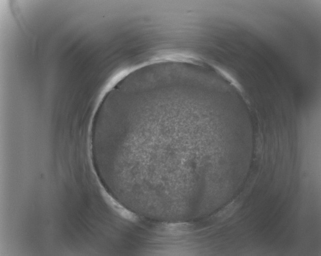 X0000080181471200612151936