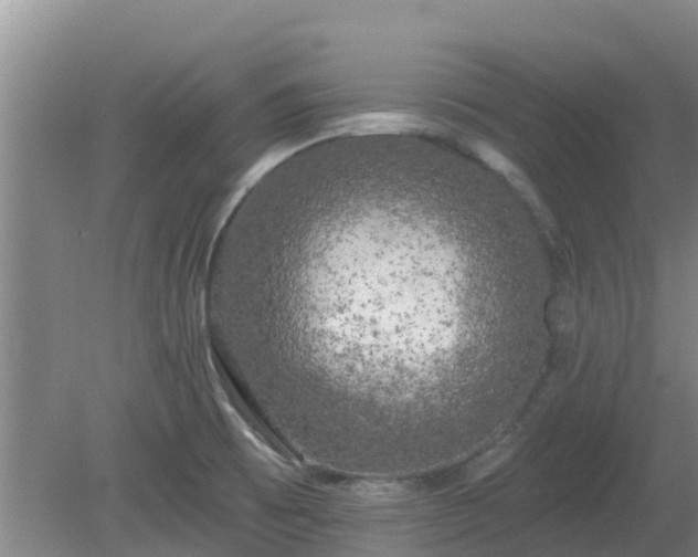 X0000080181473200612151936