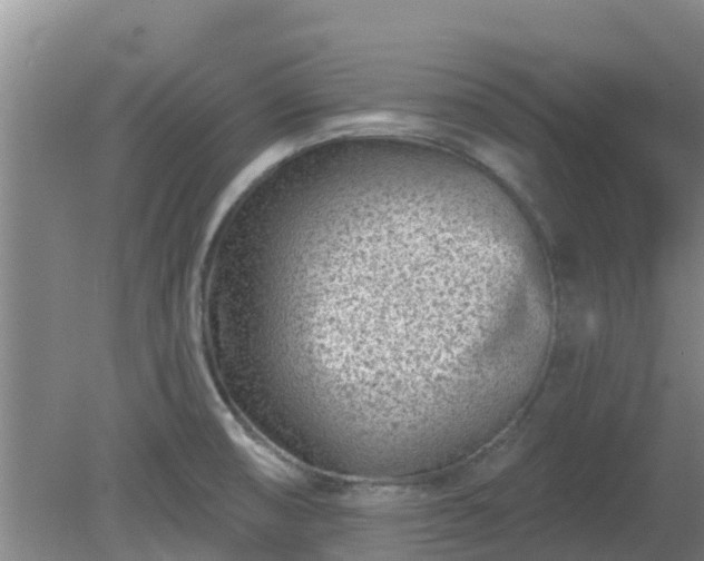 X0000080181474200612151936