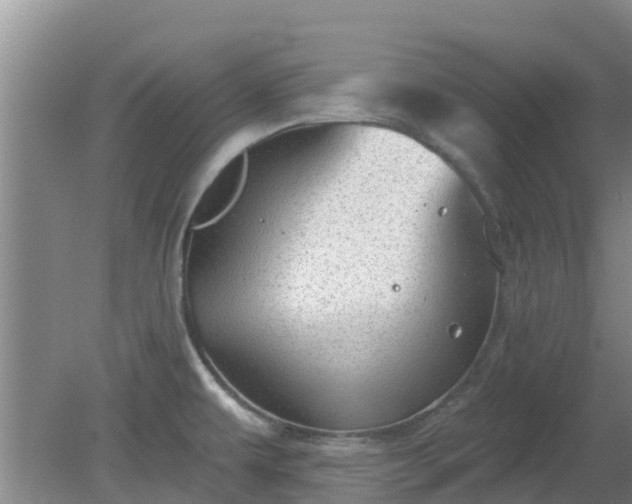 X0000080181479200612151935