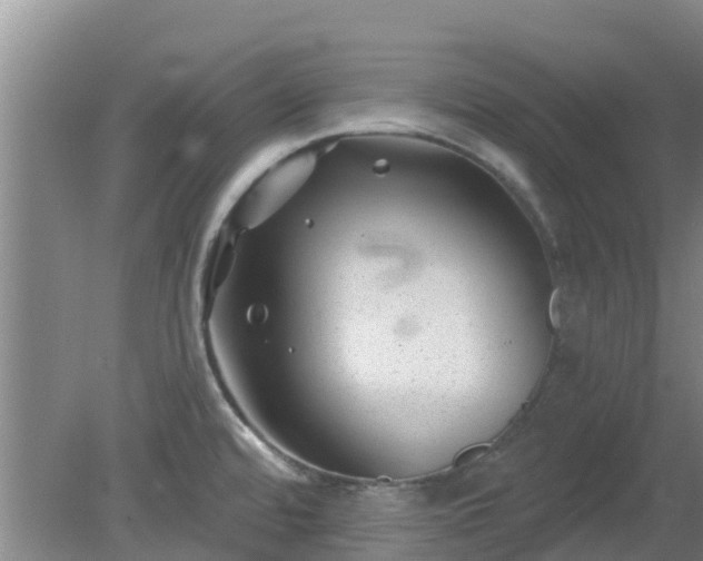 X0000080181480200612151935