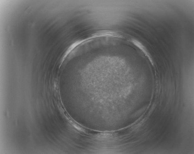 X0000080181481200612151935