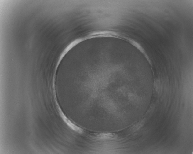 X0000080181482200612151935