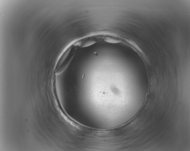 X0000080181484200612151935