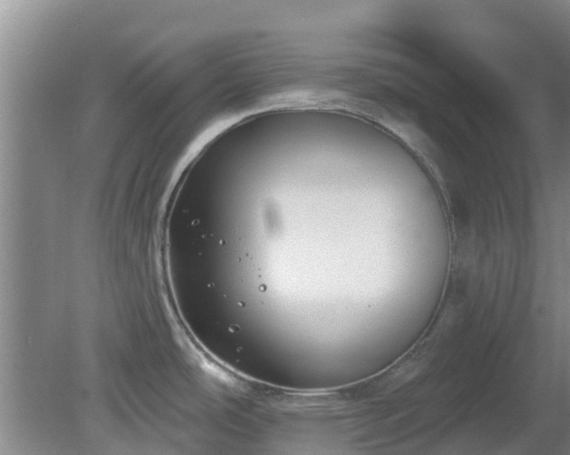 X0000080181486200612151935