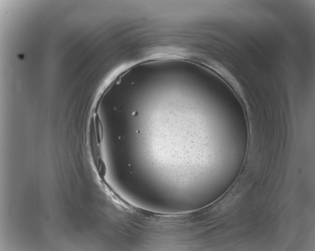 X0000080181488200612151935